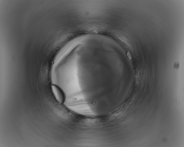 X0000091920314200709261648