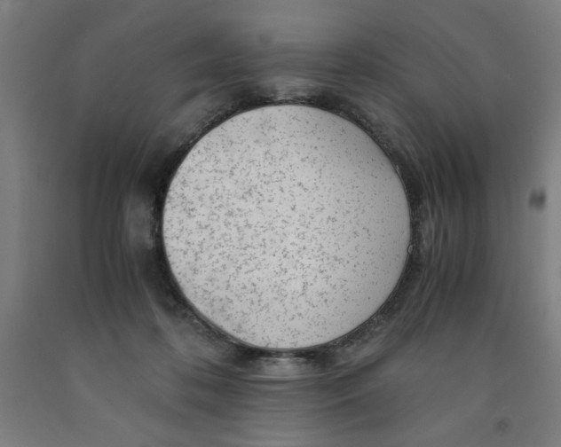 X0000091920316200709261648