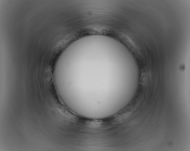 X0000091920318200709261648