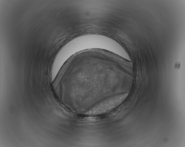 X0000091920320200709261648