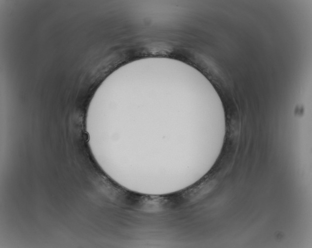 X0000091920321200709261648