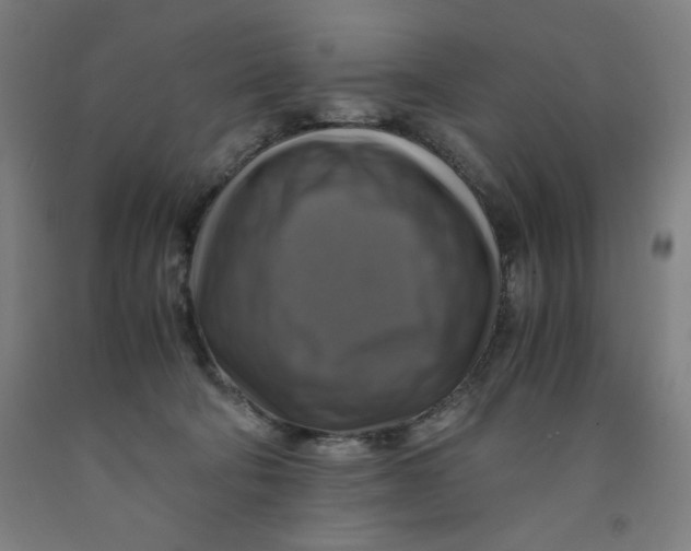 X0000091920322200709261648