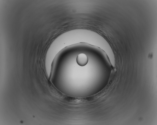 X0000091920323200709261648