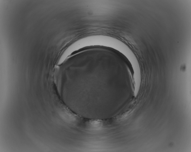 X0000091920325200709261648