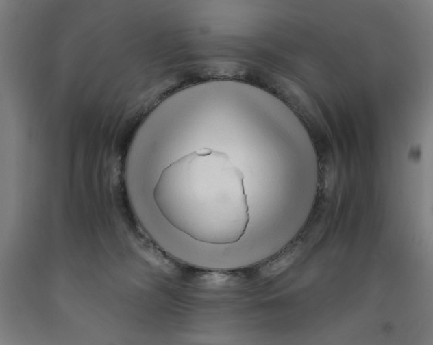 X0000091920326200709261648