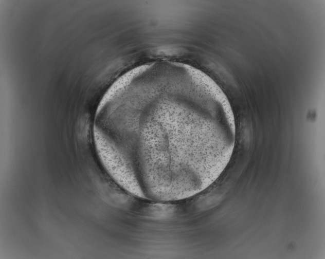 X0000091920328200709261648