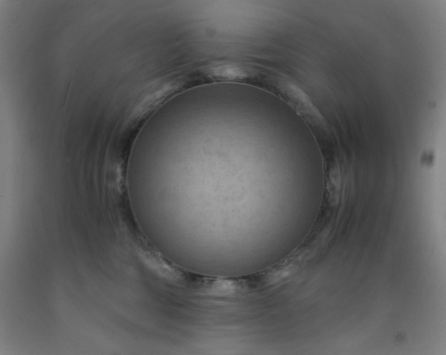 X0000091920330200709261648