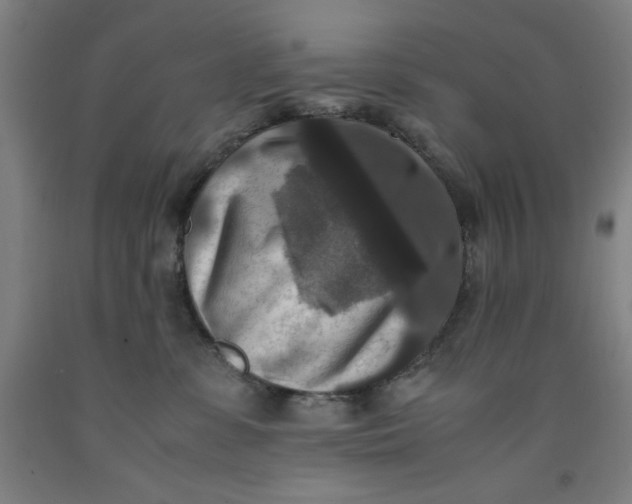 X0000091920331200709261648