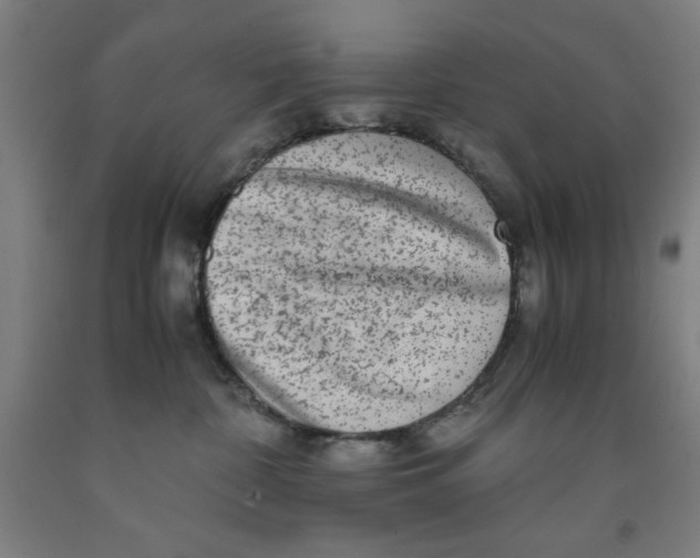 X0000091920332200709261648