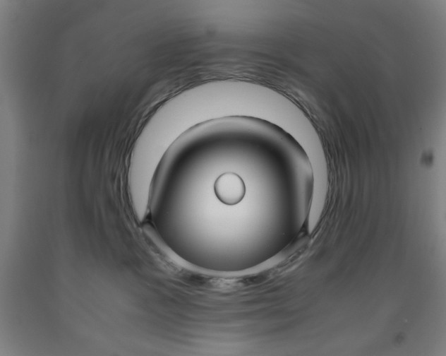 X0000091920333200709261648