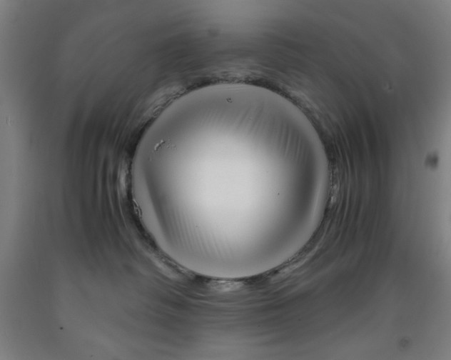 X0000091920334200709261648