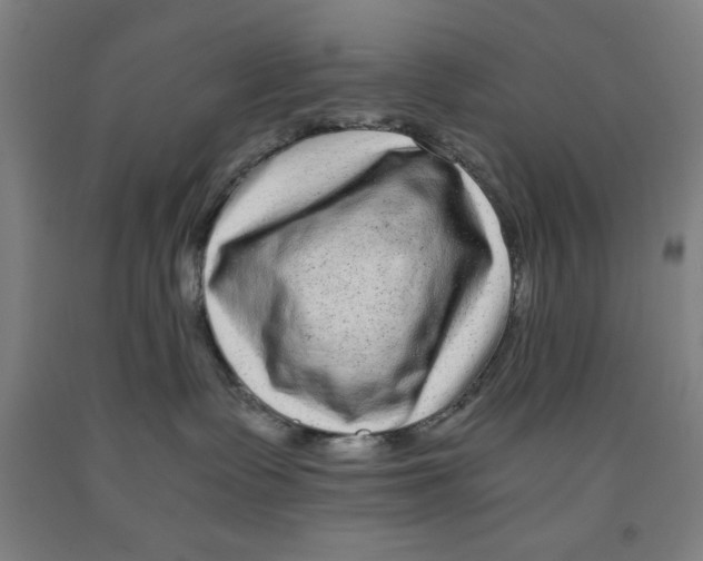 X0000091920335200709261648