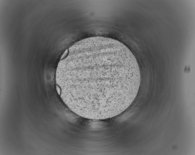 X0000091920336200709261648