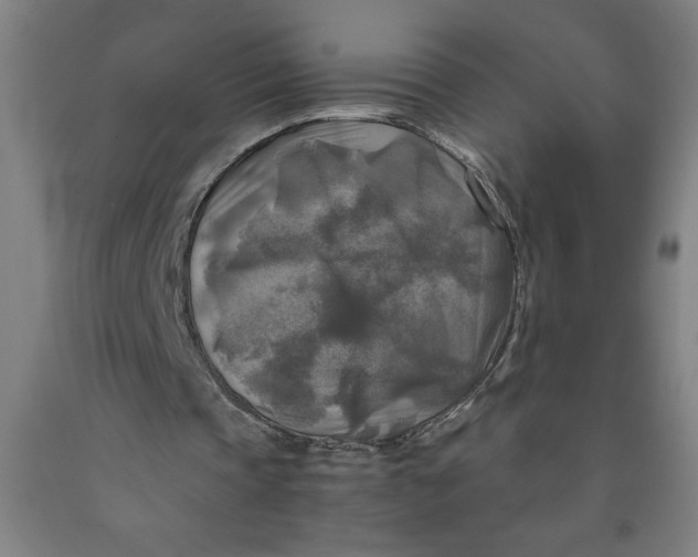 X0000091920337200709261647