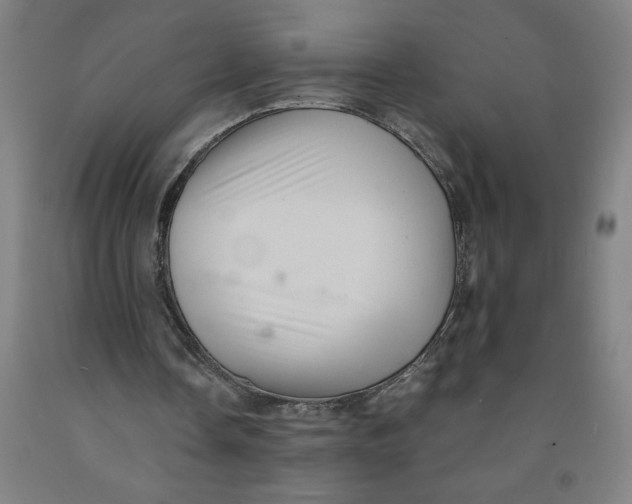 X0000091920338200709261647