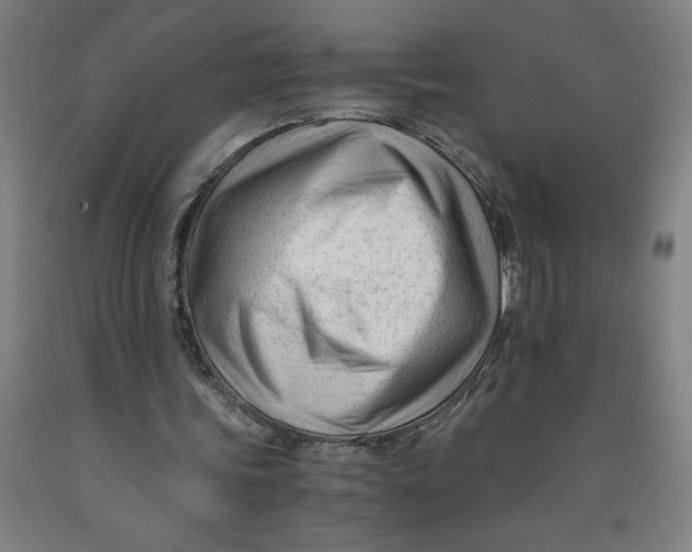 X0000091920339200709261647