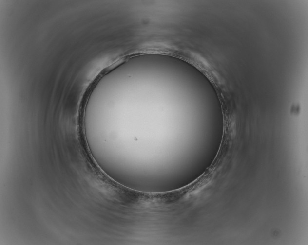 X0000091920340200709261647