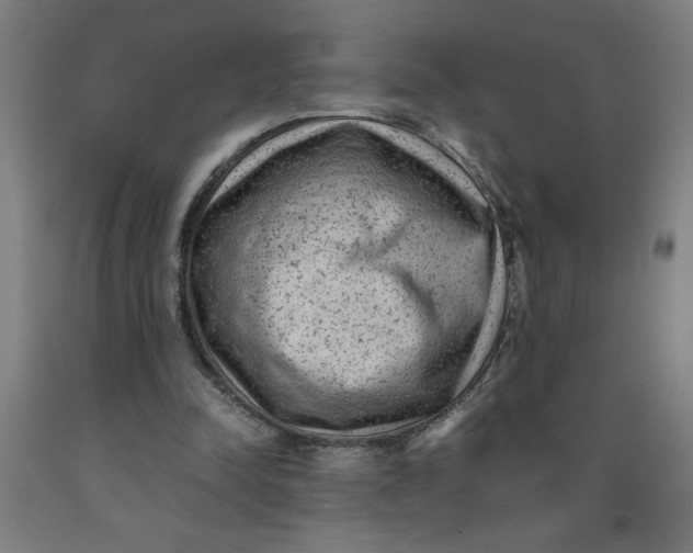 X0000091920342200709261647