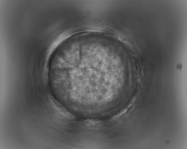 X0000091920343200709261647