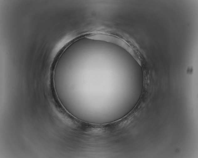 X0000091920344200709261647