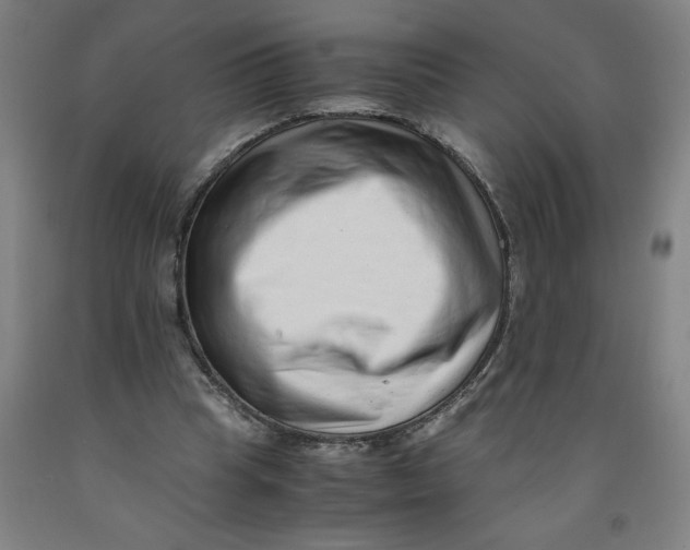 X0000091920345200709261647