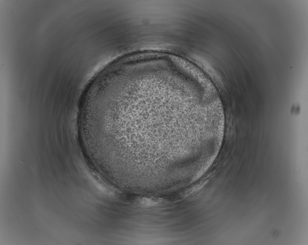 X0000091920346200709261647