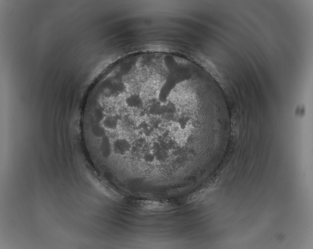 X0000091920347200709261647