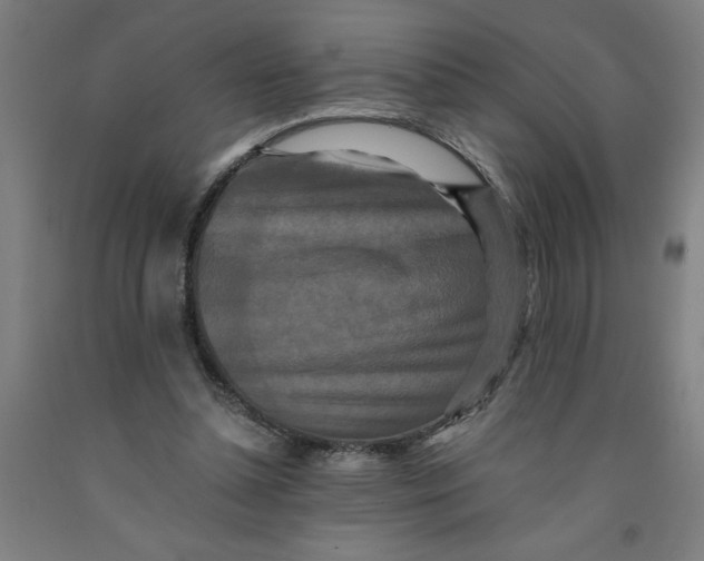 X0000091920348200709261647