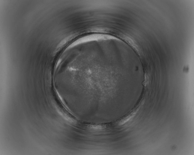 X0000091920349200709261647