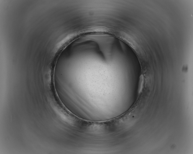 X0000091920350200709261647