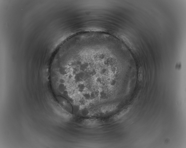 X0000091920351200709261647