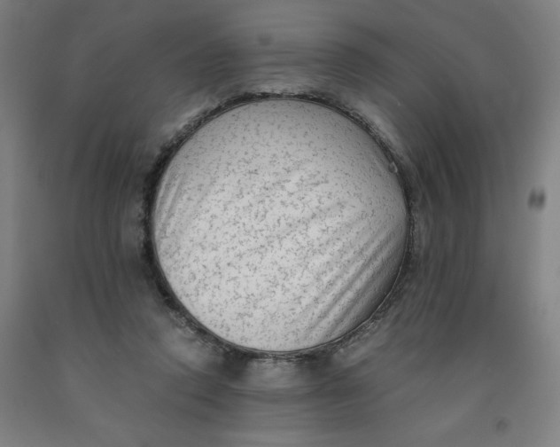 X0000091920354200709261647