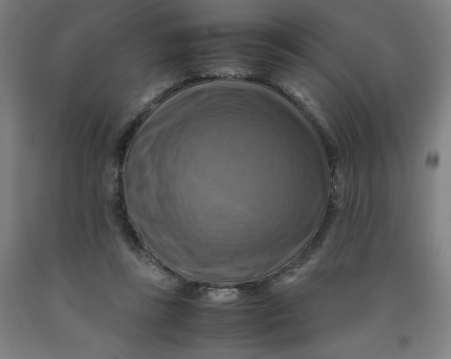 X0000091920355200709261647