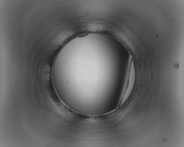 X0000091920356200709261647