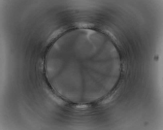 X0000091920357200709261647