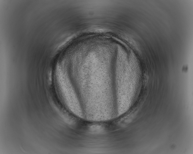 X0000091920358200709261647