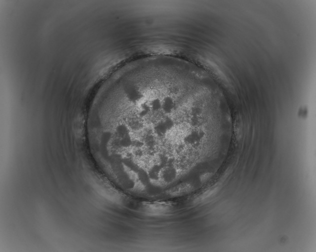 X0000091920359200709261647