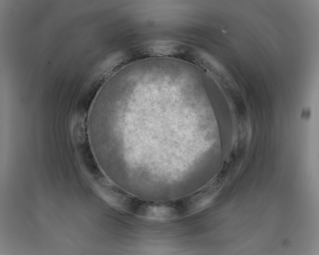 X0000091920360200709261647