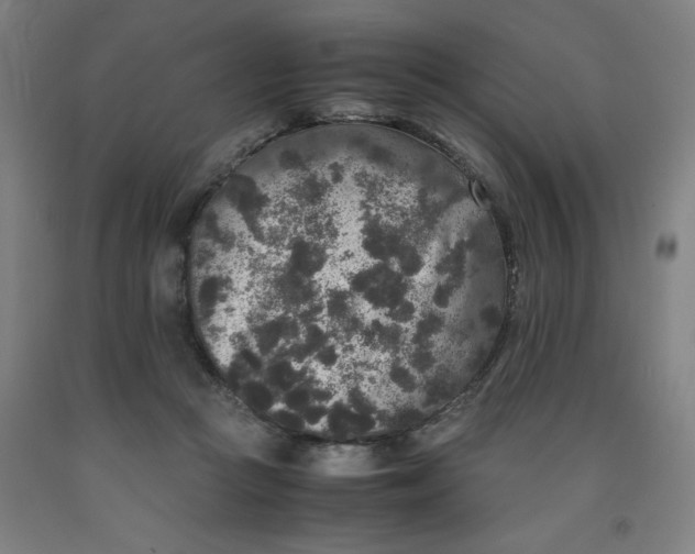 X0000091920361200709261647