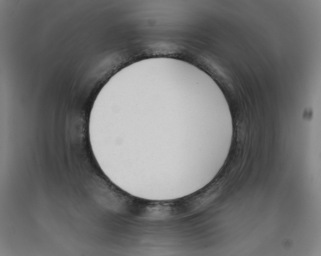 X0000091920362200709261647