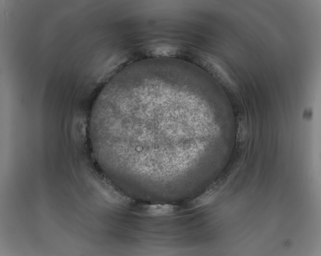 X0000091920363200709261647