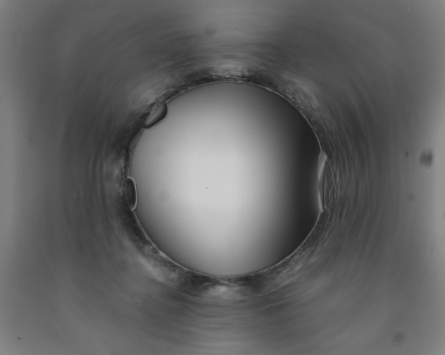 X0000091920364200709261647