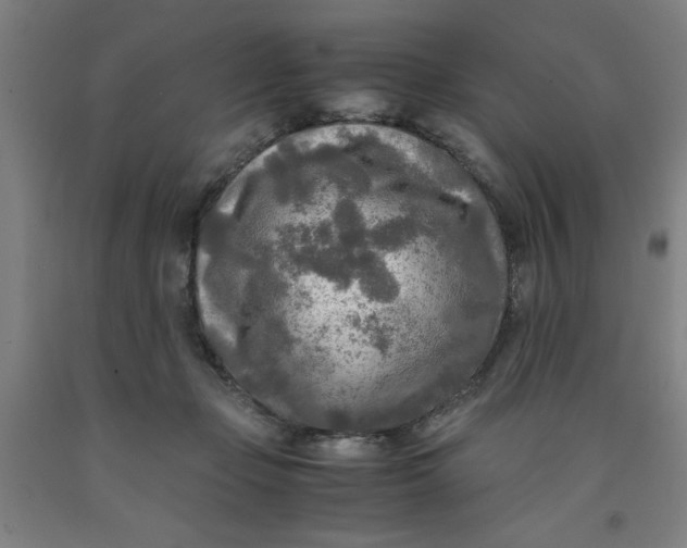 X0000091920365200709261647