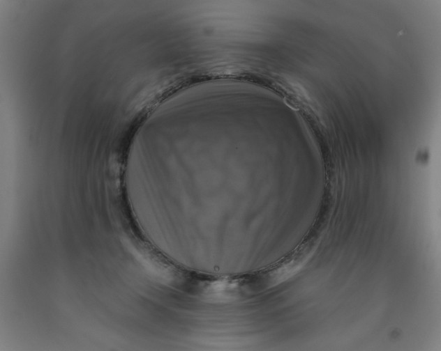 X0000091920366200709261647