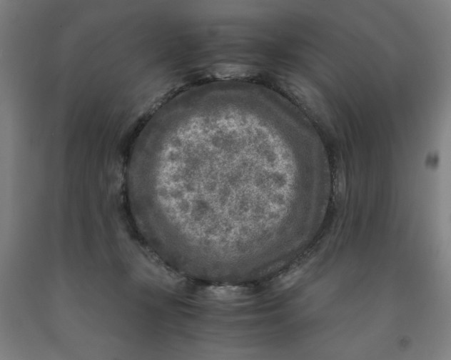 X0000091920367200709261647