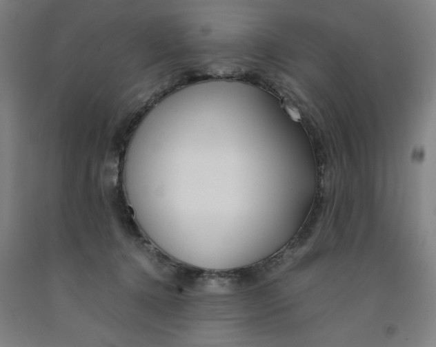 X0000091920368200709261647