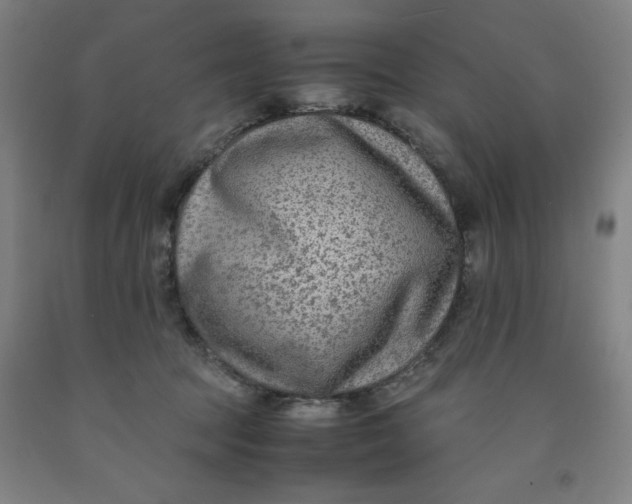 X0000091920369200709261647