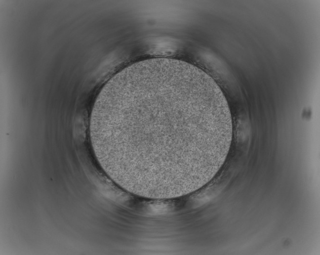 X0000091920370200709261647