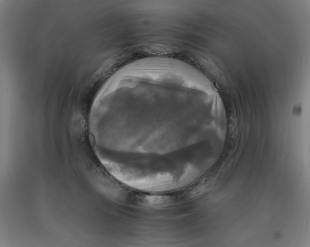 X0000091920371200709261647