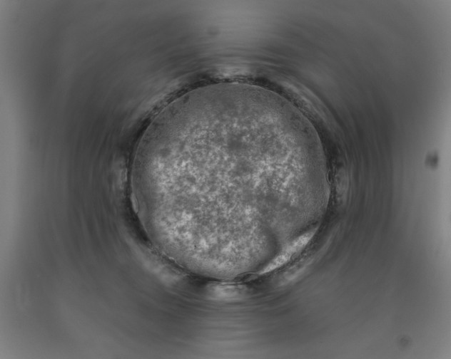 X0000091920372200709261647